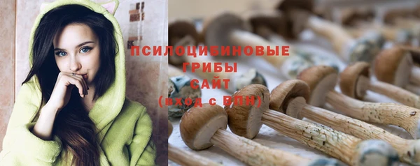 дмт Белоозёрский