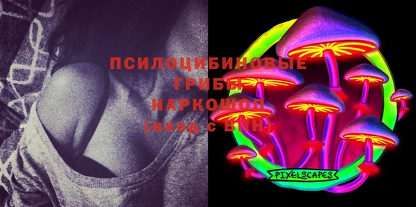 прущие грибы Сосновка