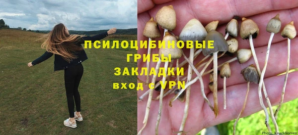 дмт Белоозёрский