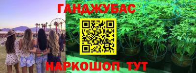 крисы Будённовск