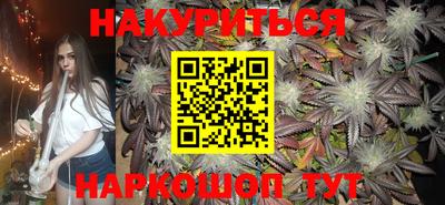 индика Будённовск