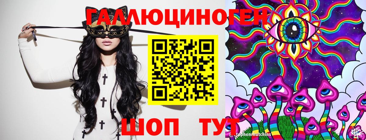 Псилоцибиновые грибы Psilocybine cubensis  Городец 