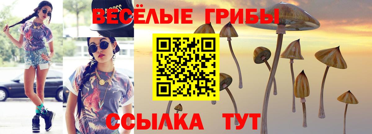 Городец  Галлюциногенные грибы прущие грибы  Вход с VPN  наркотики  Галлюциногенные грибы MAGIC MUSHROOMS 