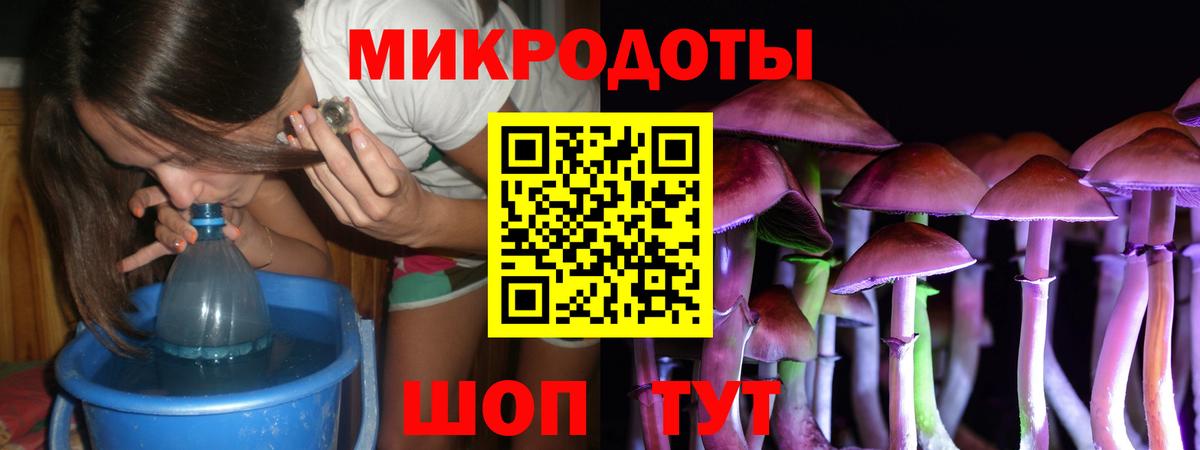 Галлюциногенные грибы ЛСД Городец