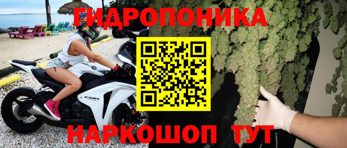 Конопля SATIVA & INDICA Городец